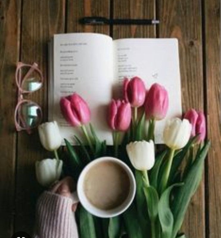 Screenshot_20221126-005709_Chrome