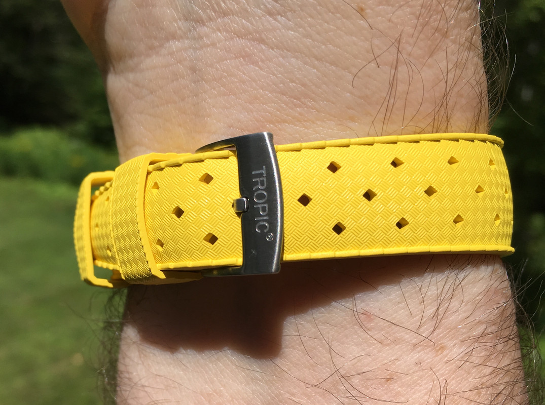 Borealis tropic strap sale