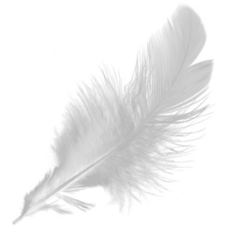feather