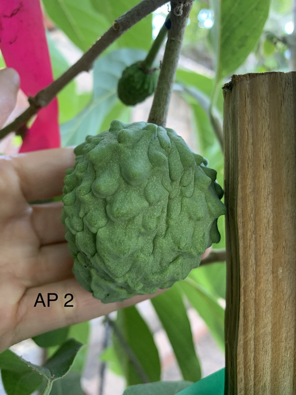 76ABB9D3-6B32-4E4A-92E4-1EDD05BBAC4E