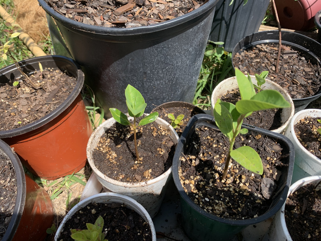 F5133C38-7146-4A39-AA54-F391375B4C79