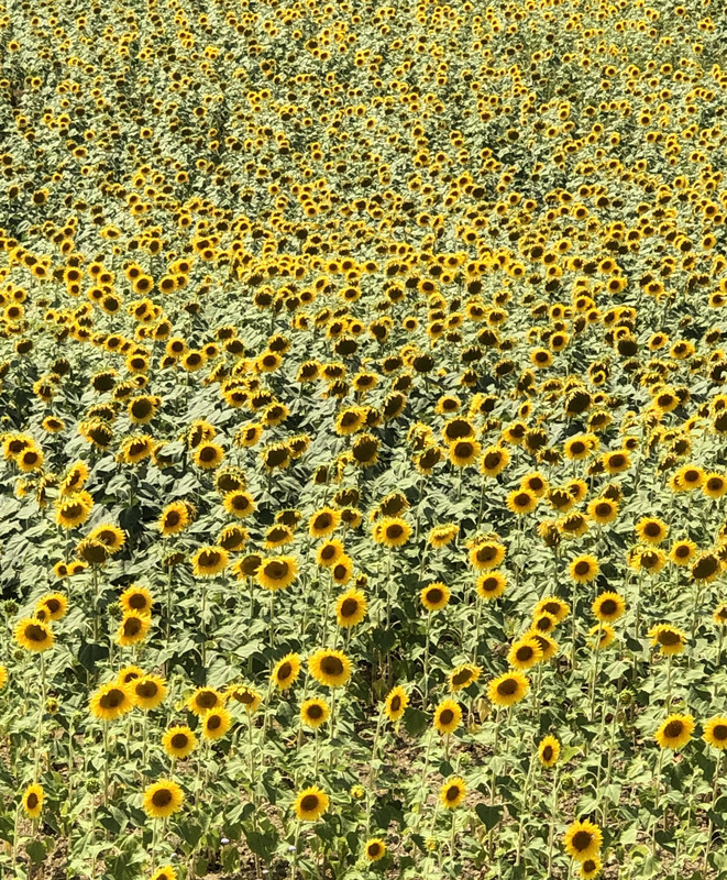 9AD45824-4A0C-4E8D-B68C-0D5D6F392286