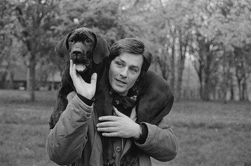 https://i.postimg.cc/fTLtVDHW/57-alain-delon-3.jpg