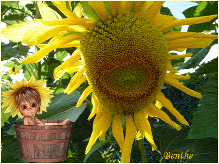 blog-groet