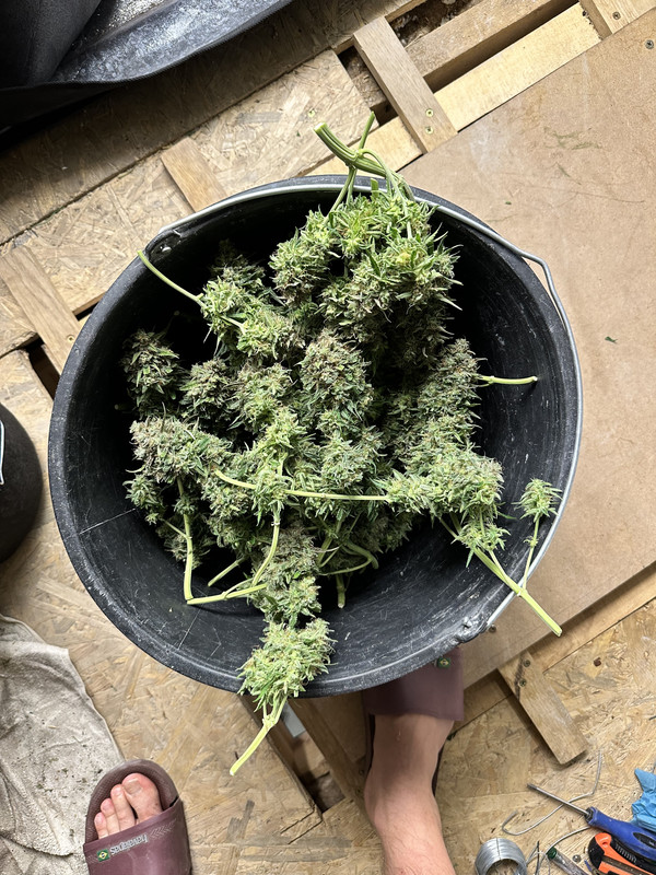 3216DC86-D2AC-4707-9878-8B996ACB9B44