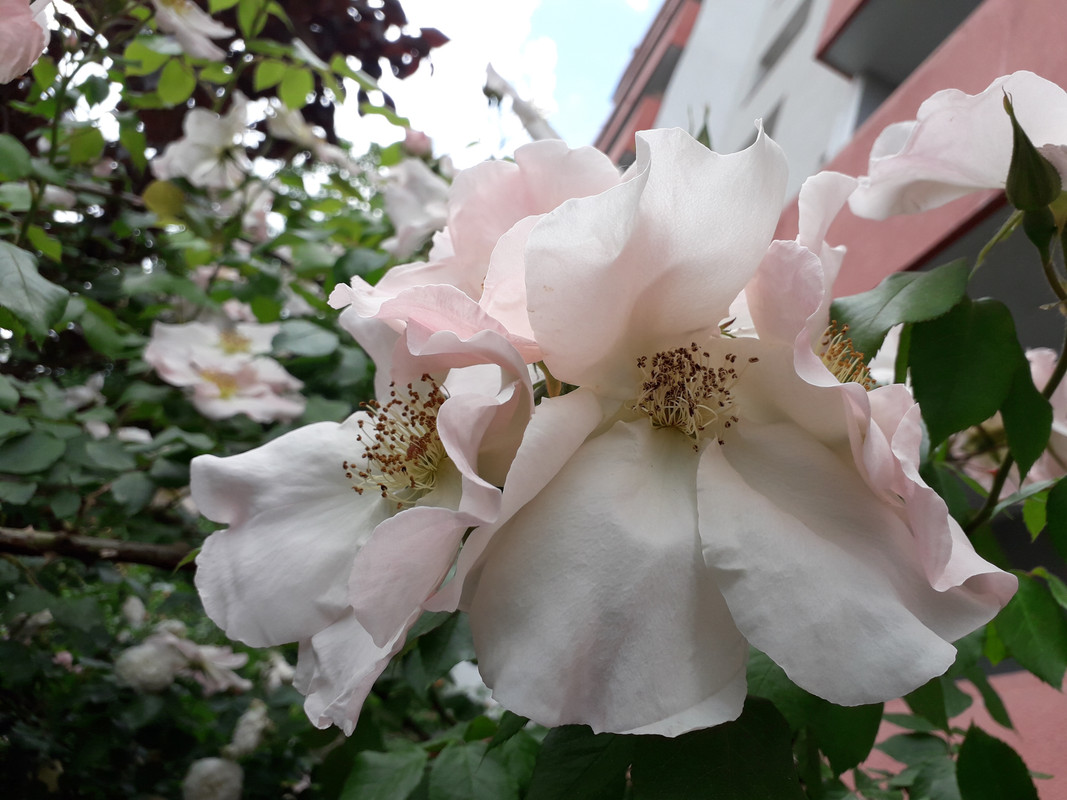 20190530_155520