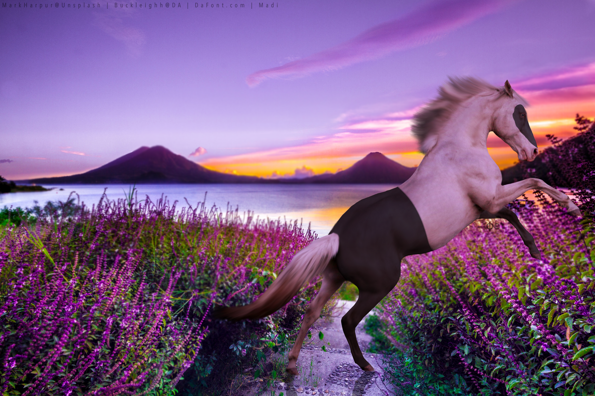 2FACEC16-73AF-4E32-AF09-8CC6555EBA9C