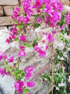 IMG_20190505_153636