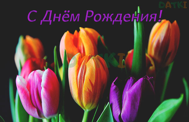 https://i.postimg.cc/fTN1cPSG/dtkhbbrttt1r5p6.jpg