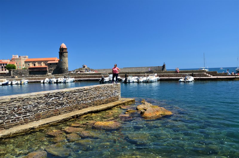 Francia y sus pueblos-2016/2022 - Blogs de Francia - COLLIOURE-28-6-2016 (20)