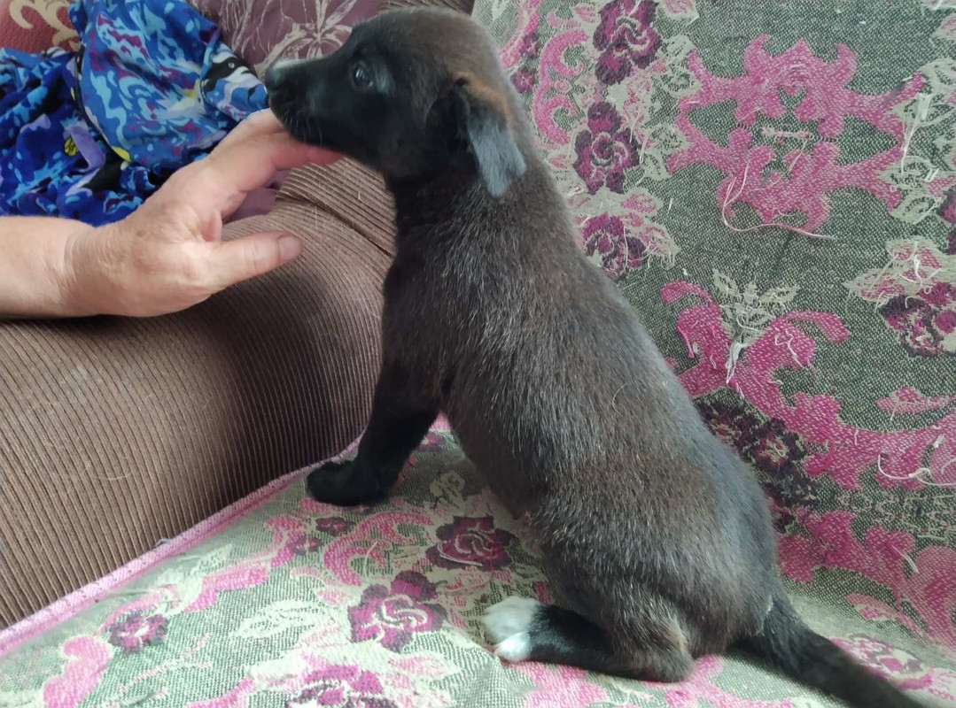 IMG-9f37de4b55c42d85227085cd68133241-V