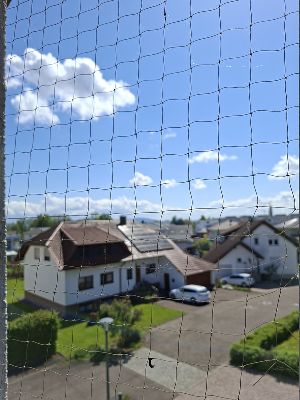 20260420-125931.jpg