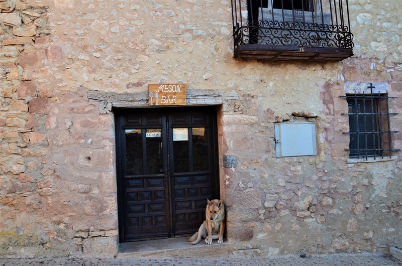 Soria y sus pueblos-2010/2013/2020 - Blogs de España - CARACENA-16-2-2020 (105)