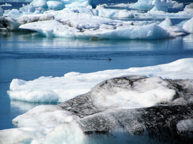 Islandia 2020: En autocaravana y sin coronavirus - Blogs de Islandia - --Día 6 (27 julio): Jokulsarlon - Fjarsarlon (1)