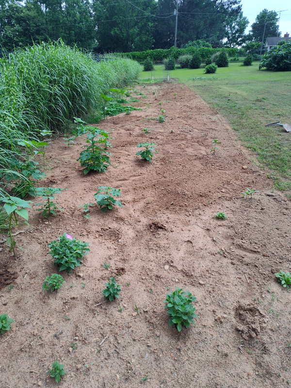 IMG_20250517_092547731_HDR