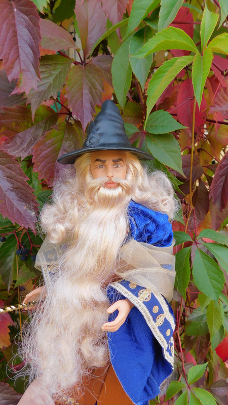 Осенне дачное-Мерлинское 027