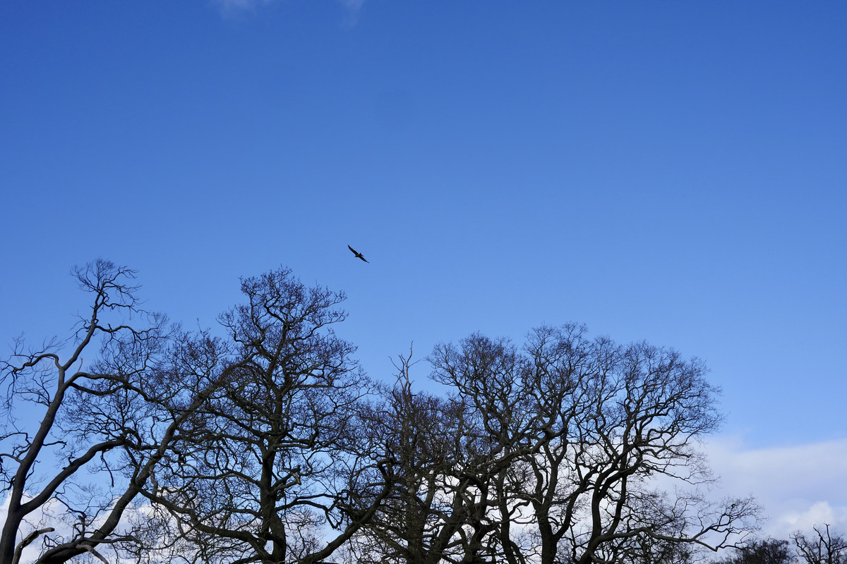 37A8CBE0-AAEA-4B16-B622-F9F8BC409931