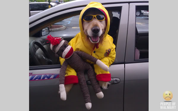 Dog-it-s-Monkey