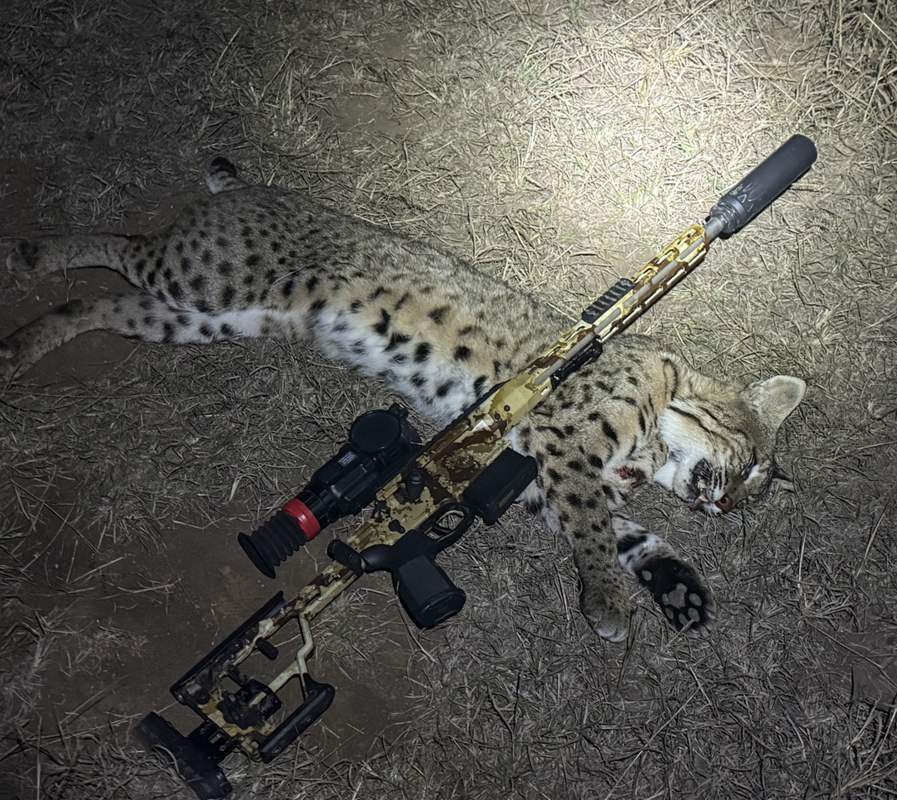 Screen Shot 2025-03-21 at 1.11.43 AM