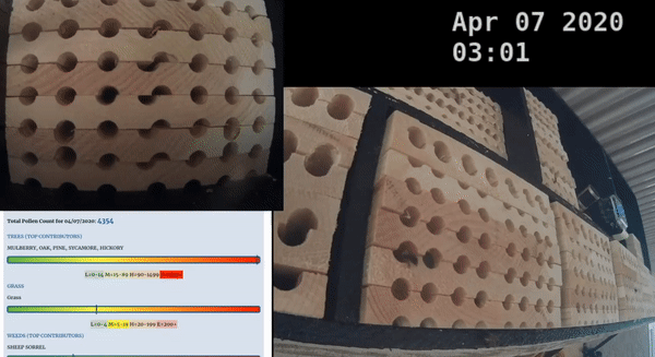 ezgif-2-fddc4d2fb1a5.gif