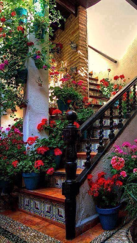 flowerstairs.jpg