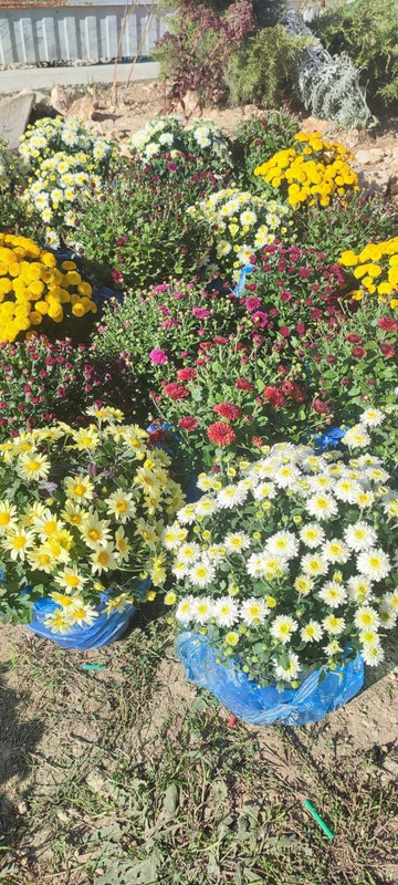 FU6b5xKZ6IAEXnb2_HtUa-ynGJvUOrBJy91m7h3KF9Woox9zzR7RB1XEdh55ot5PwfGJMqUw9AbHK3nN08EHmPia