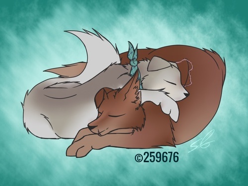 17A5C296-4464-44E1-8E21-34FF10157336