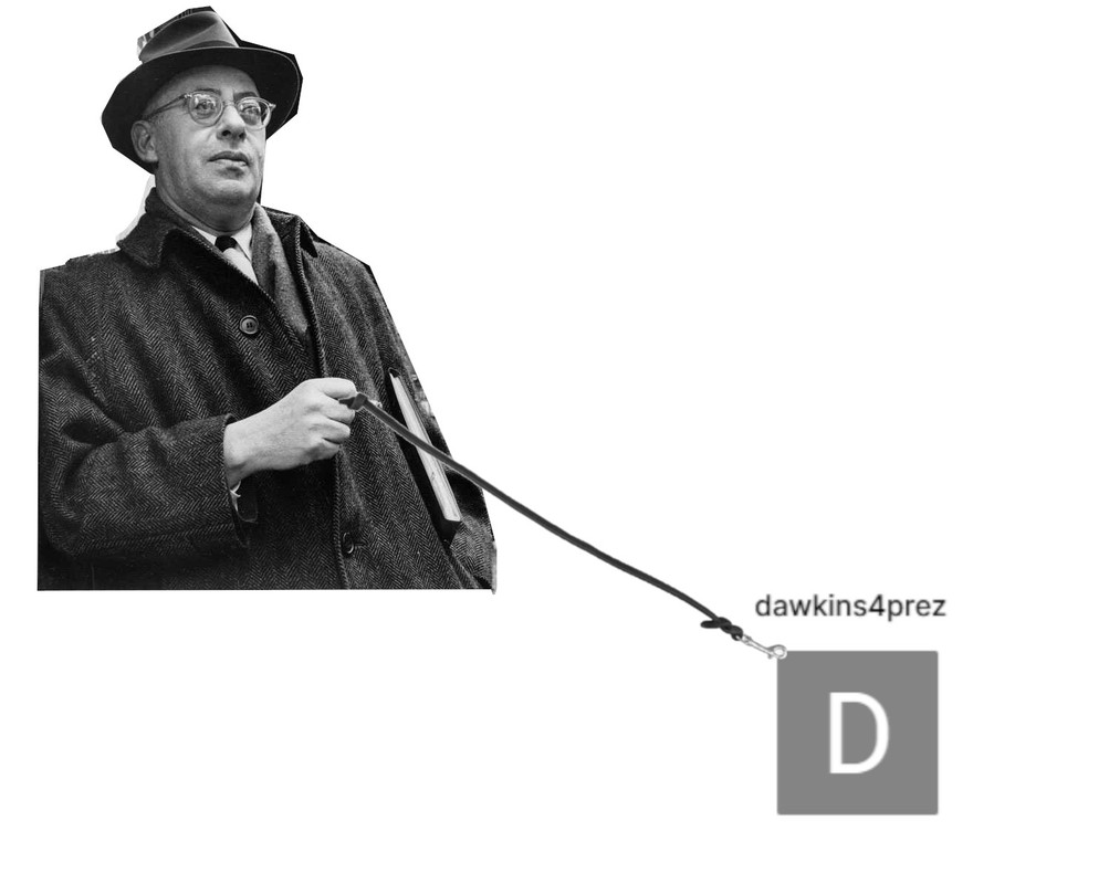 dfp.jpg