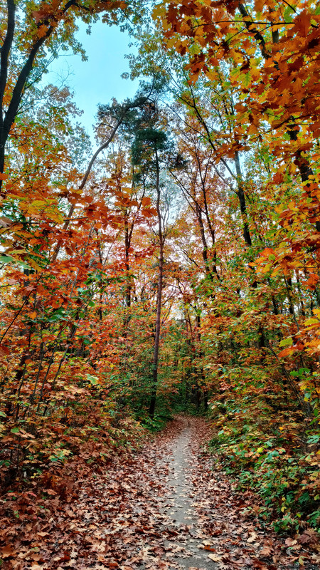 Lumii_20251018_192646602