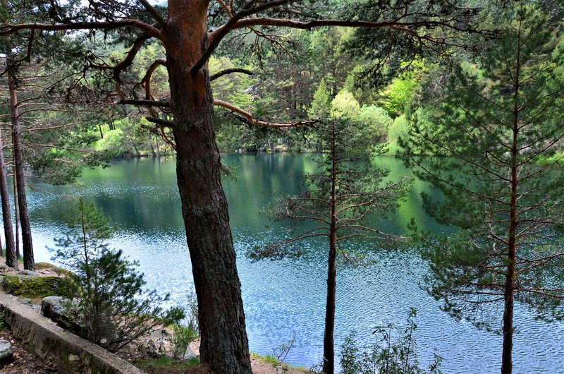 RUTA VALLE DE LA BARRANCA-6-6-2013-MADRID - Paseando por España-1991/2017 (64)