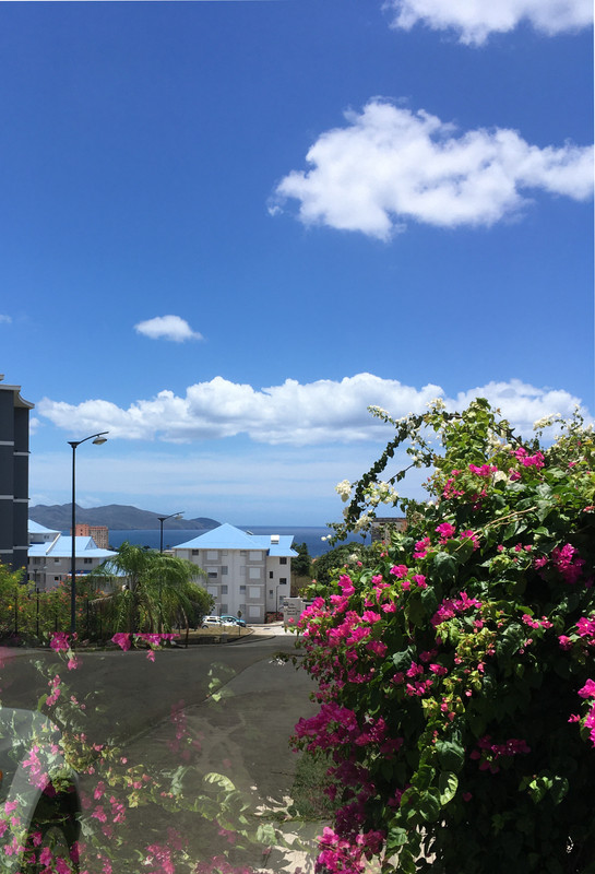 Apple Photos Document