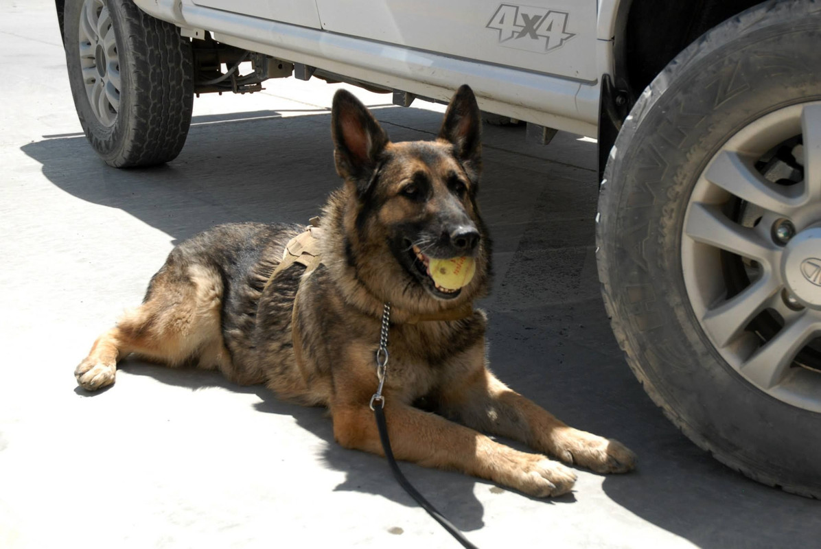 11728777_843169542446684_6636772487425288329_o