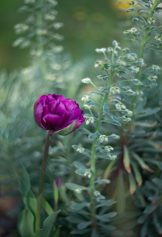 IMG-3a9223920f579ae8e9507172e62a3ab8-V
