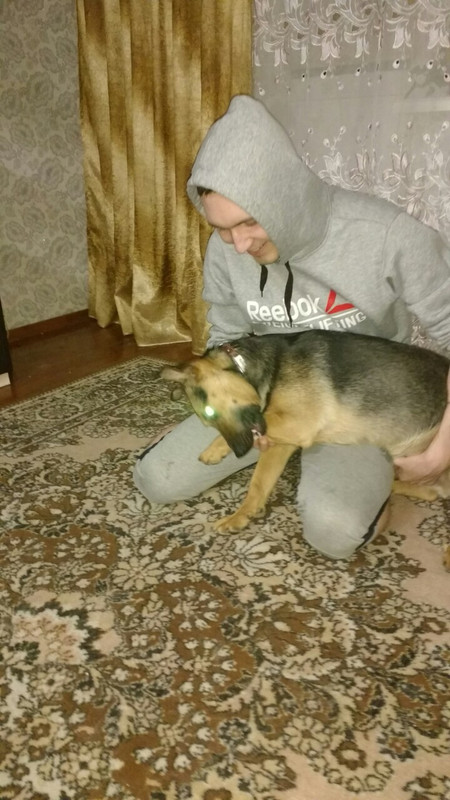 IMG-8334c936033d72e6efc5498f3f2c4281-V