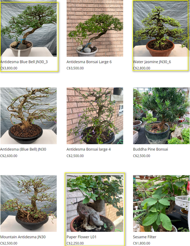 [Image: 2024-07-25-100256.png]