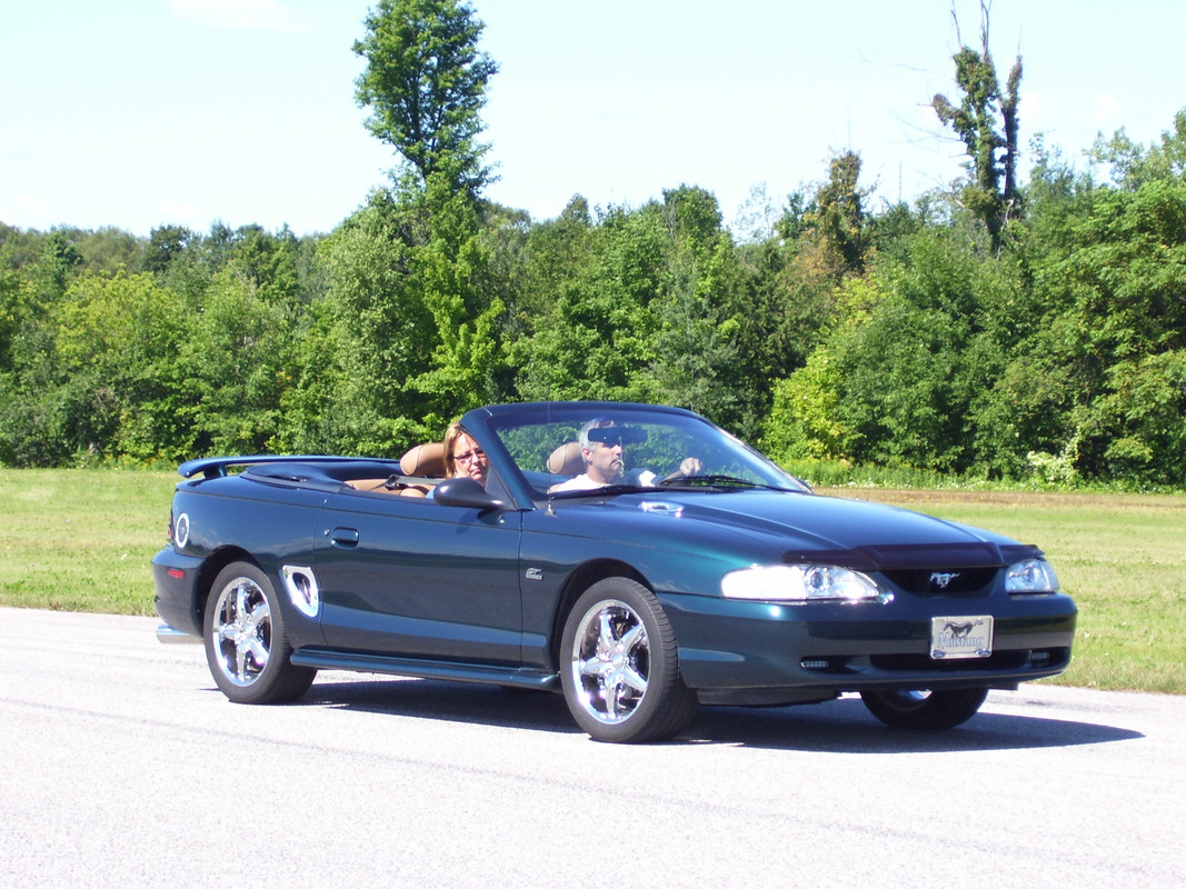 mustang - Montréal Mustang: 40 ans et + d’activités! (Photos-Vidéos,etc...) - Page 19 100-0467
