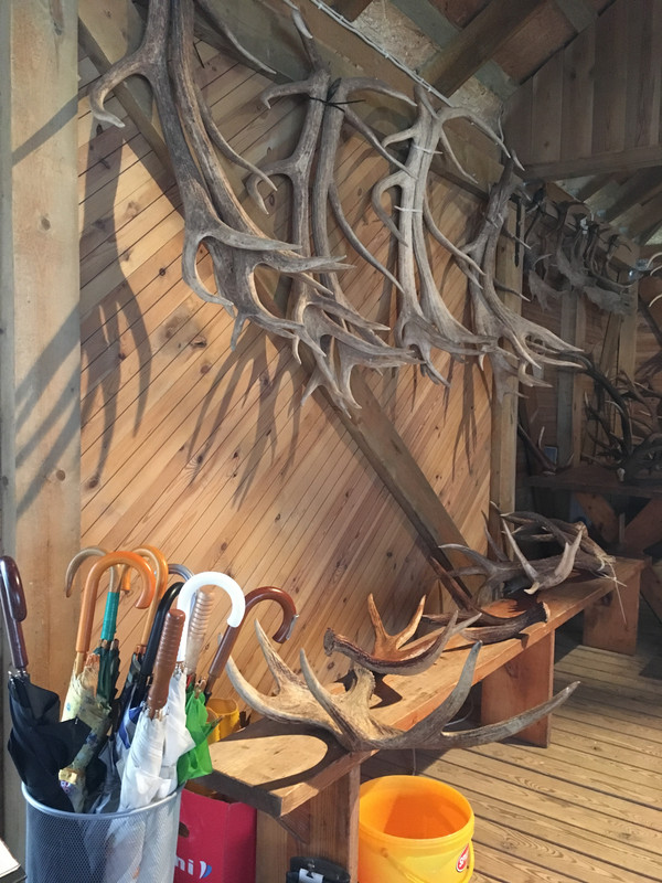 295E0D99-966B-4440-9A2F-5AB88348606D