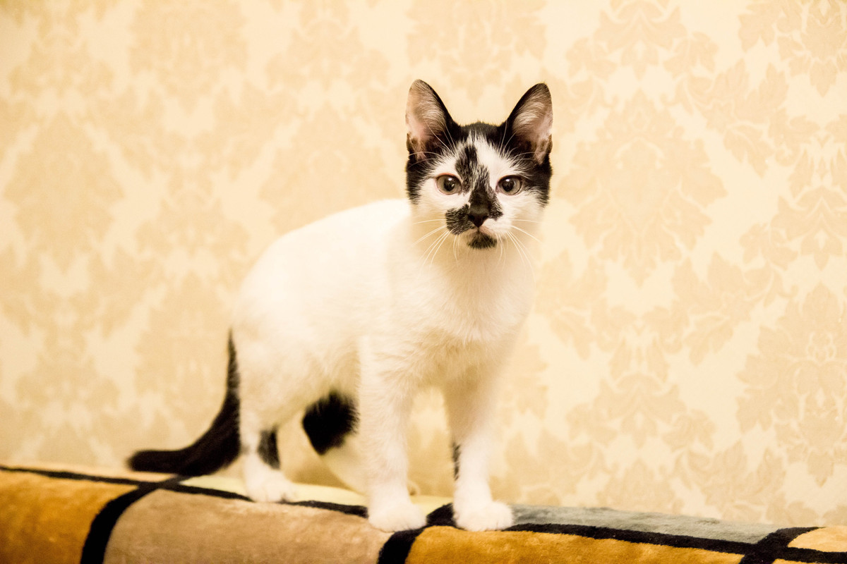 подросток-1-9