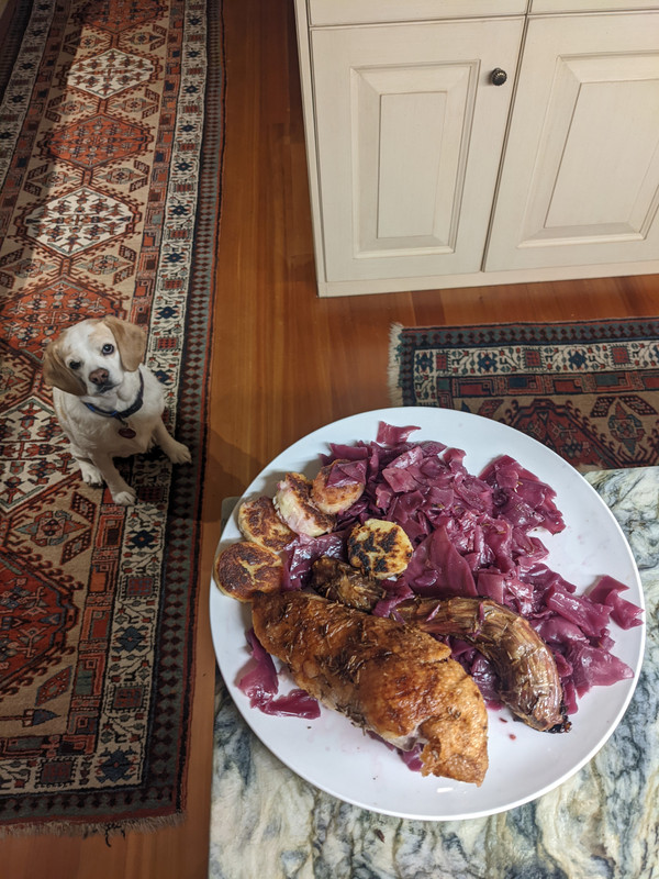 PXL_20211227_014841386