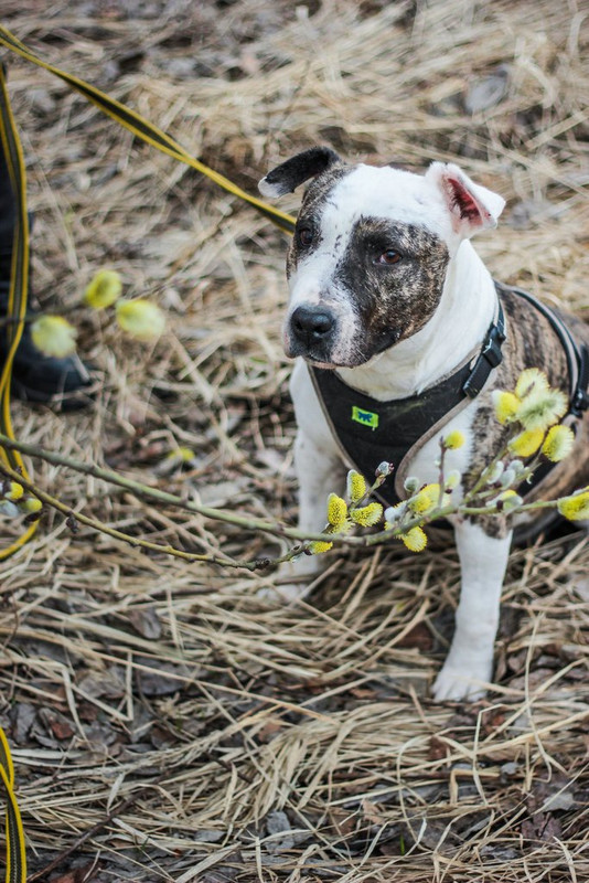 без имени-0988