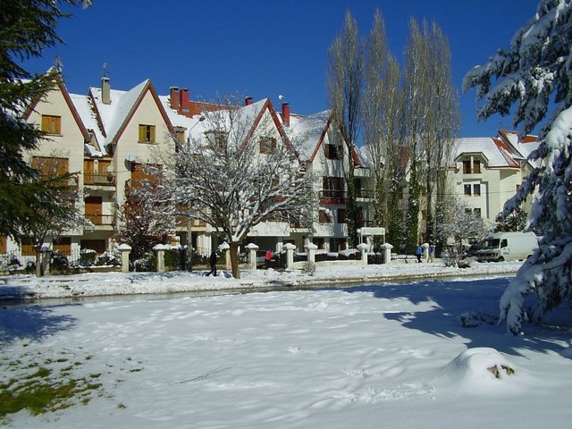 https://i.postimg.cc/fTRFwcVB/photo-2024-01-13-07-32-22.jpg