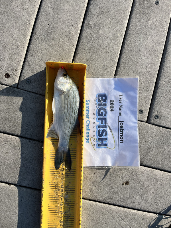 6A42D430-9833-4CDC-A7BA-F6F5BEFB0495