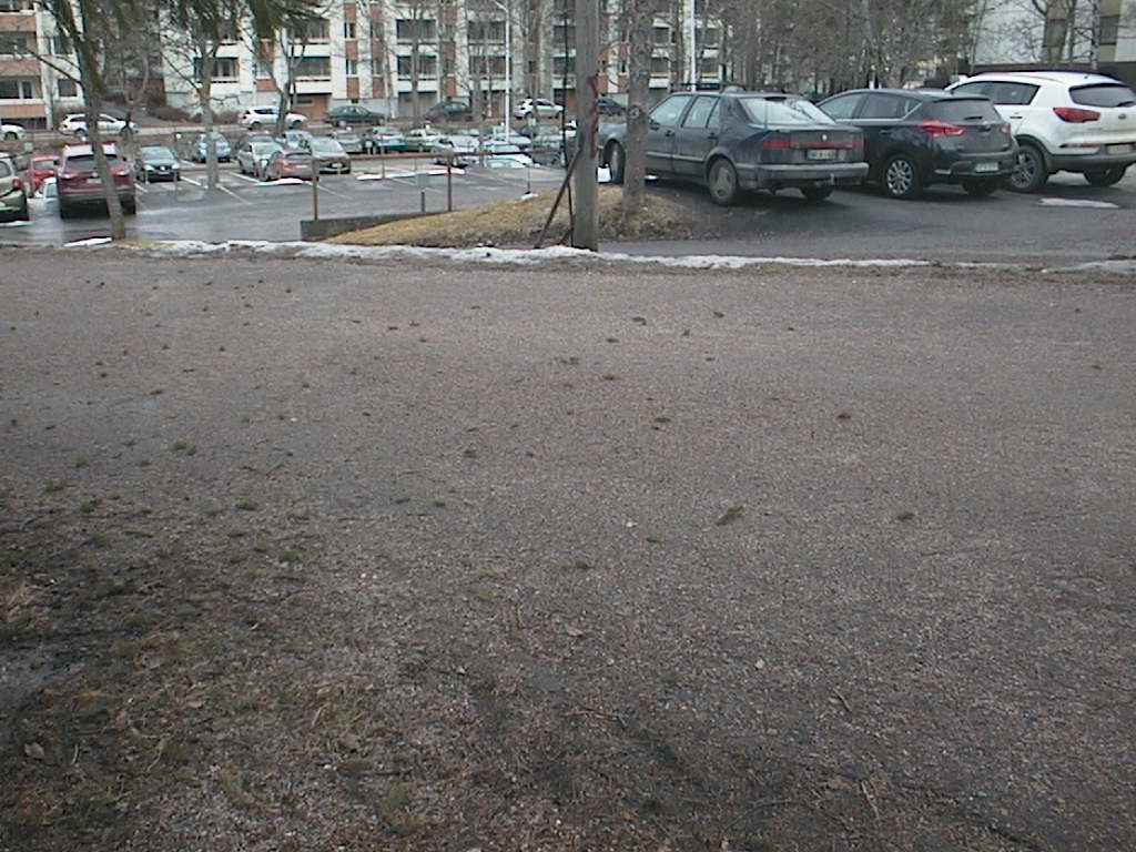 päivän löydöt 28032016 032