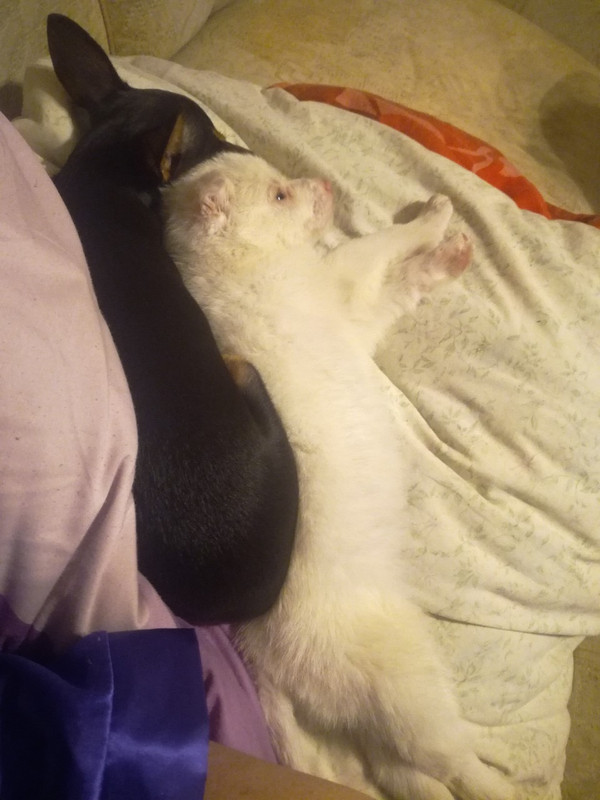 A0F3945A-6B84-4336-AB01-3E85387037B8