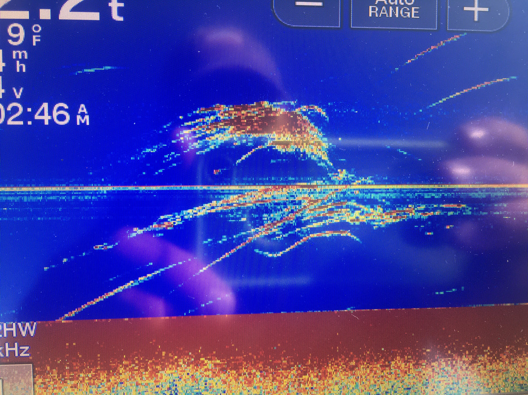 5D44CE09-ACC6-4A3C-A60C-8B45814AC415