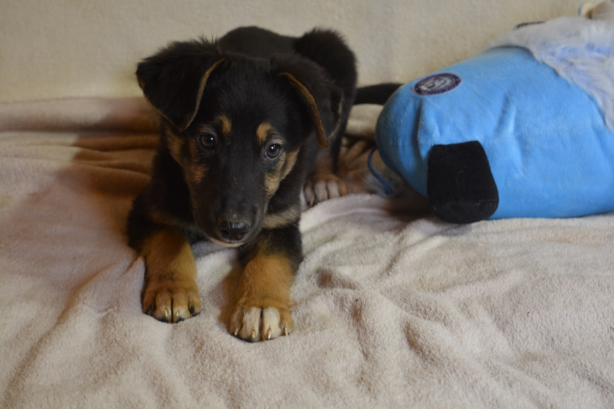 21-47-13-7qMm-MRulWo