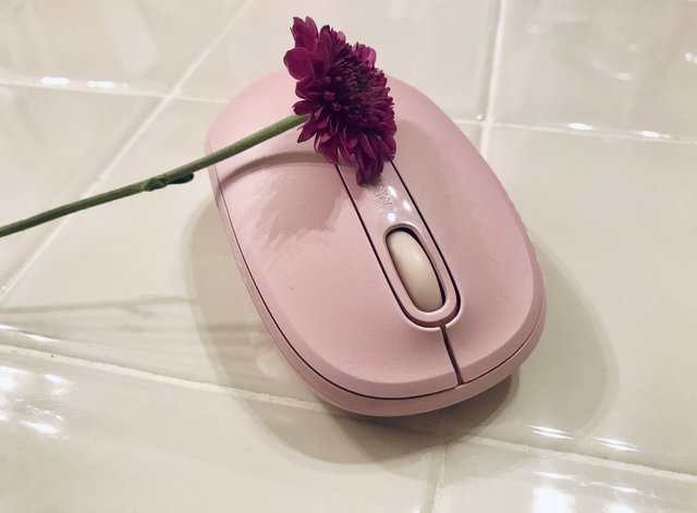 [Image: 1-D0-EC5-D4-978-C-40-CB-8-E71-82873-FCDFF9-A.jpg]