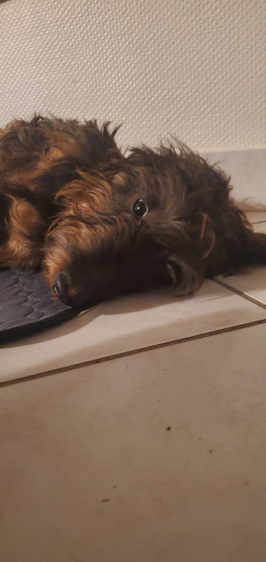 [Image: IMG-20241215-181758.jpg]