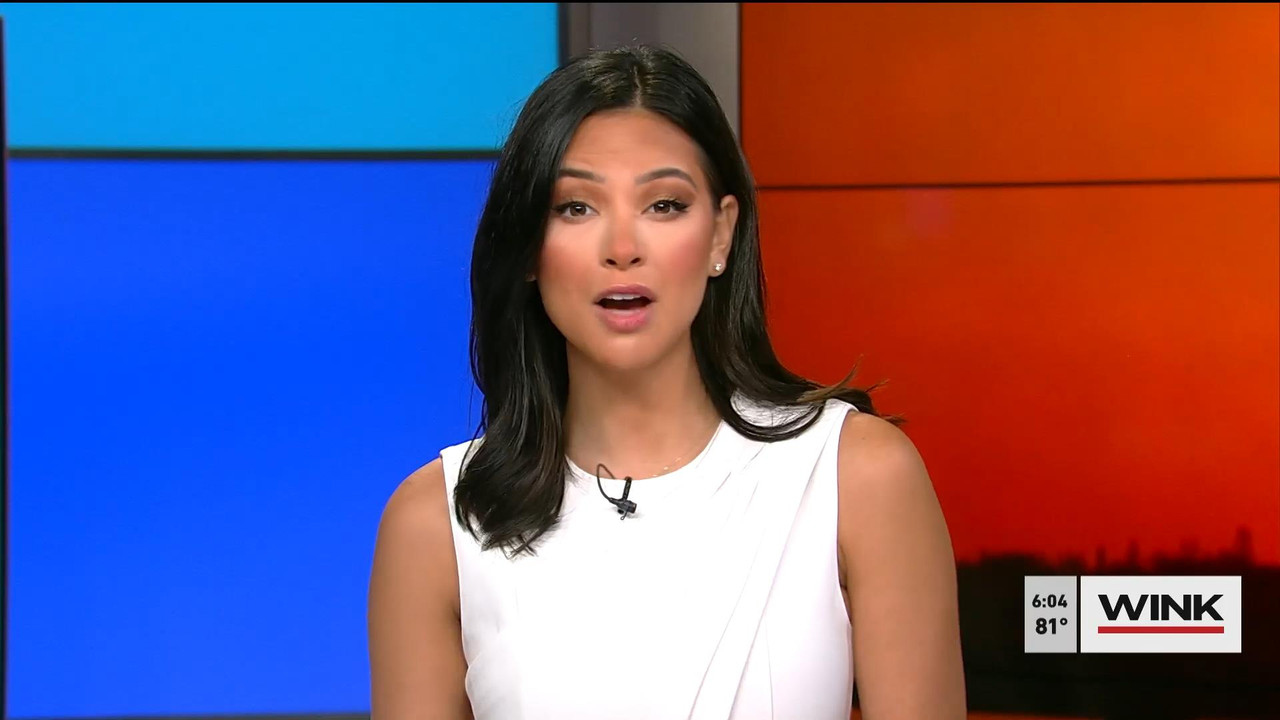 08.01 - 11.00.00 - WINK News @ 6 00AM Sunday. Local news, sports and ....ts_snapshot_00.05.18_[2021.