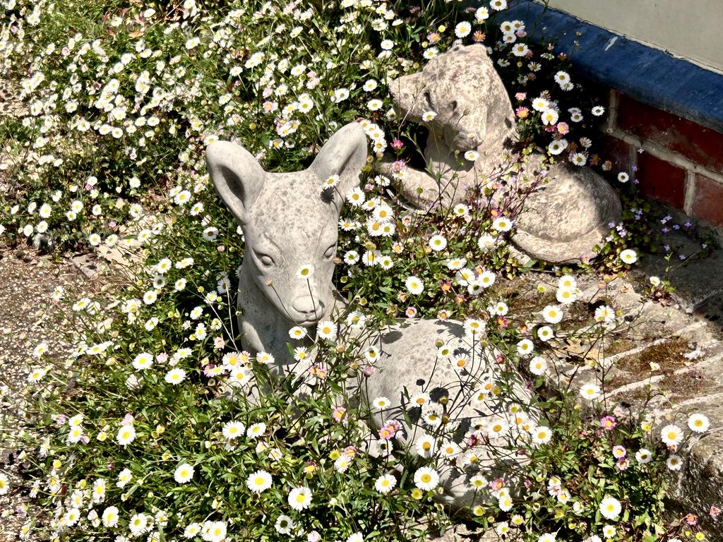 Пёстрая лента. Путешествие по сельским дорогам Англии в мае 2025 г.